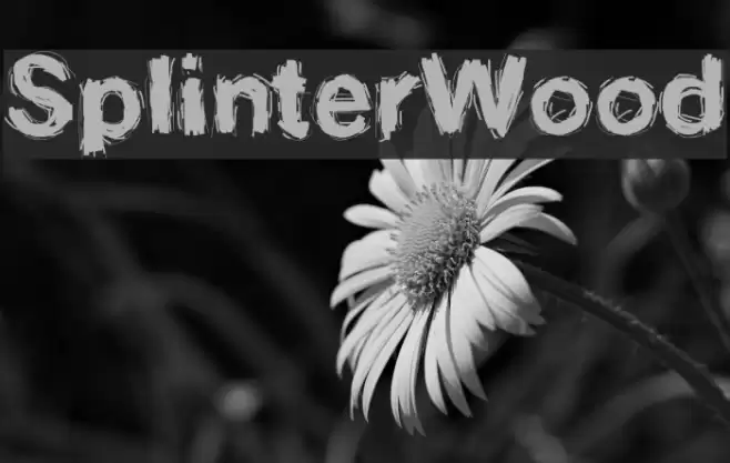 SplinterWood Font examples