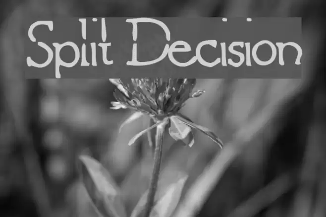Split Decision Font examples