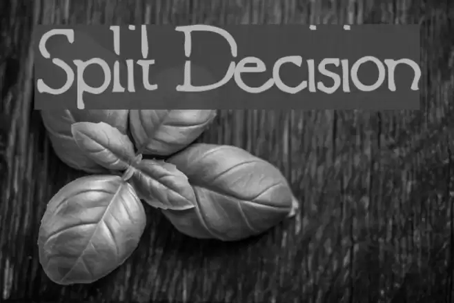 Split Decision Font examples