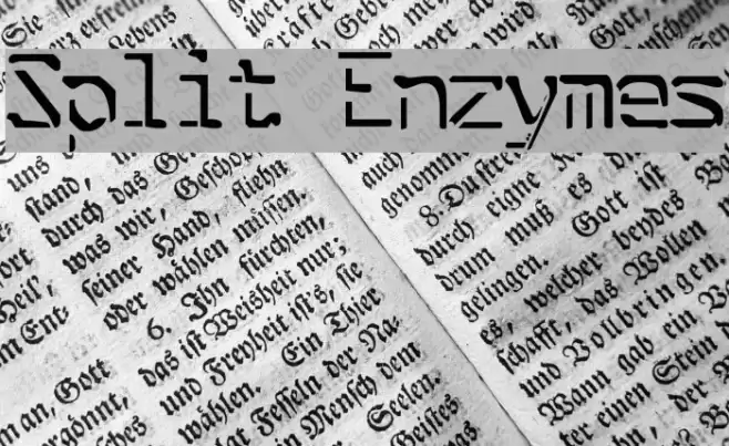 Split Enzymes Font examples