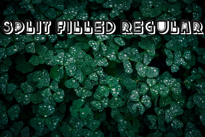 Split Filled Regular Example 1