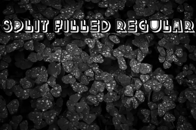 Split Filled Regular Font examples