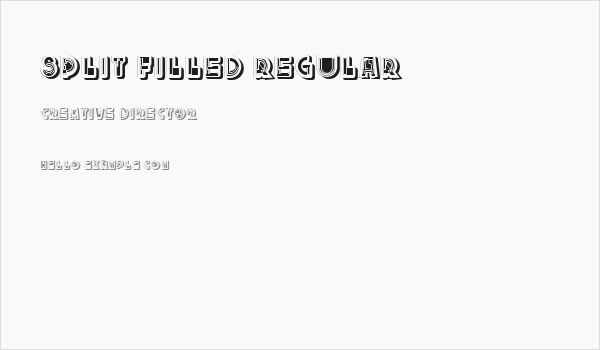 Split Filled Regular Business Card