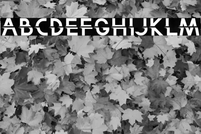 Split On Font examples