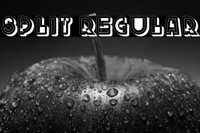 Split Regular Font examples