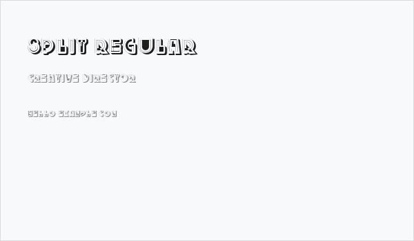 Split Regular Business Card