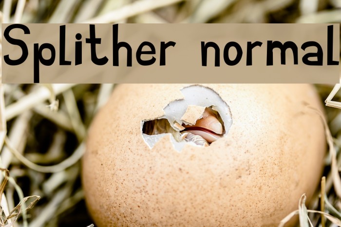 Splither normal Font examples