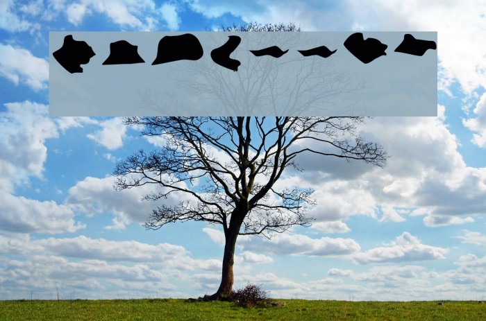 Splitter Font examples