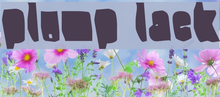 Splump Black Font examples
