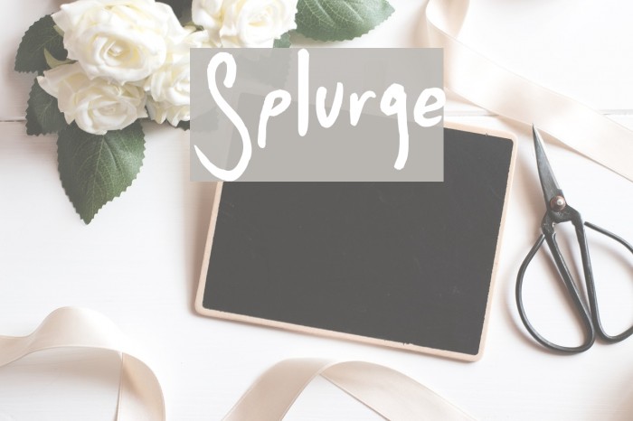 Splurge Font examples