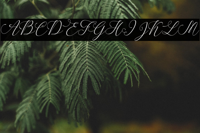 SpoiledGirl-Italic Example 2