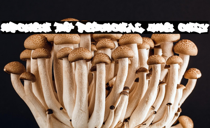 Spoken BG PERSONAL USE ONLY Example 2