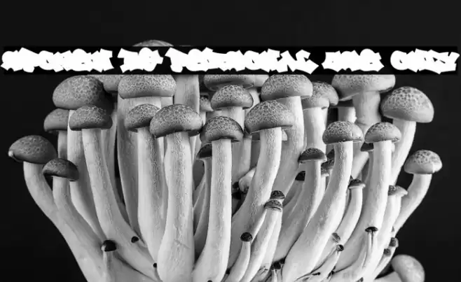 Spoken BG PERSONAL USE ONLY Font examples