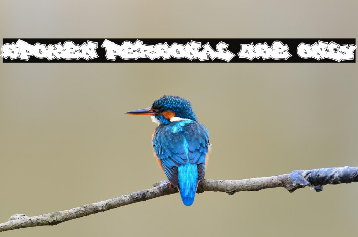 Spoken PERSONAL USE ONLY Example 3