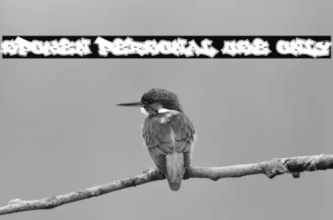 Spoken PERSONAL USE ONLY Font examples