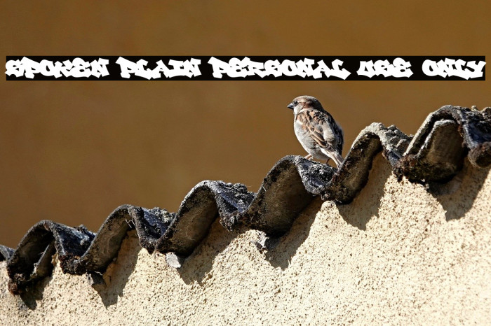 Spoken Plain PERSONAL USE ONLY Example 1