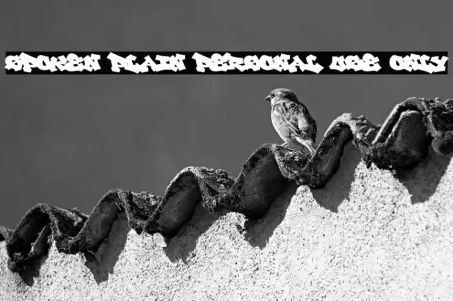 Spoken Plain PERSONAL USE ONLY Font examples