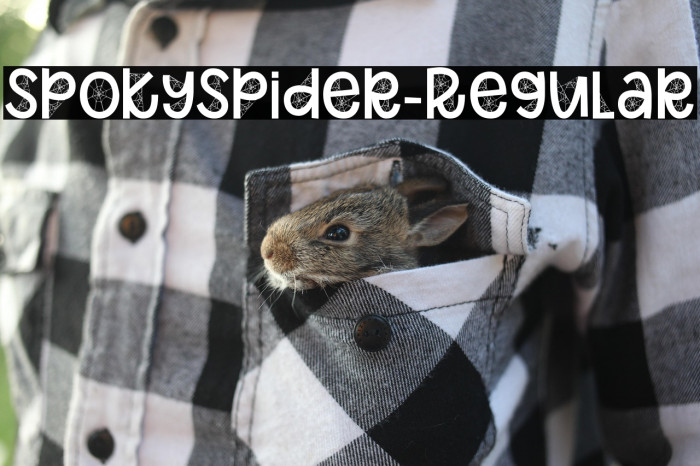 SpokySpider-Regular Example 3