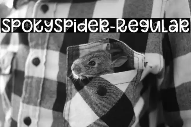 SpokySpider-Regular Polices examples