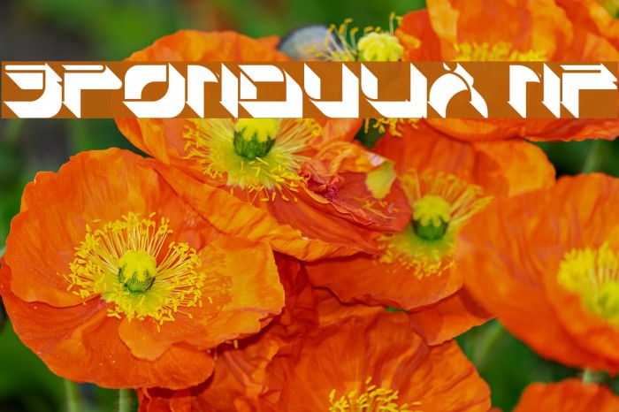 Spondulix NF Шрифта examples