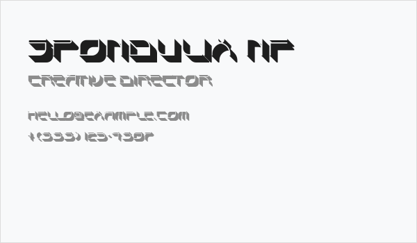 Spondulix NF Business Card