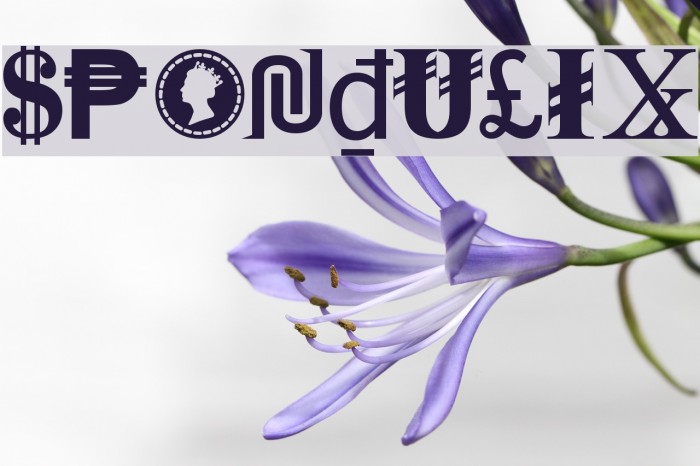 Spondulix Font examples