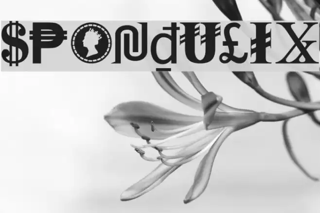 Spondulix Font examples