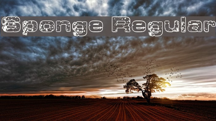 Sponge Regular Example 2