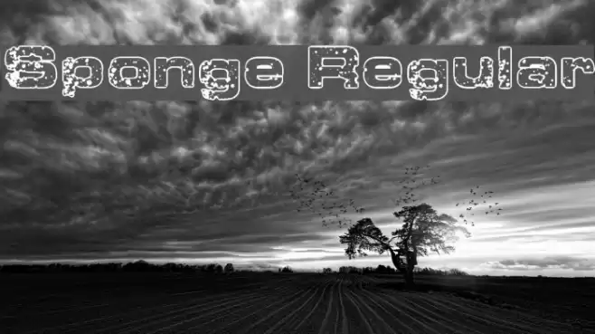 Sponge Regular Font examples