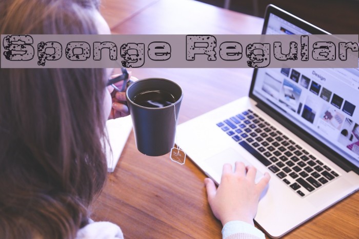 Sponge Regular Example 3