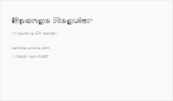 Sponge Regular Business Card