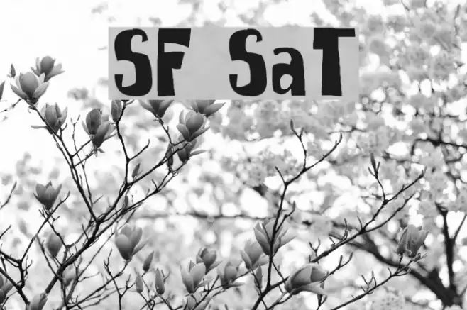 SpongeFont SquareType Fonte examples