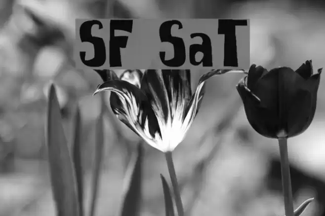 SpongeFont SquareType Fonte examples