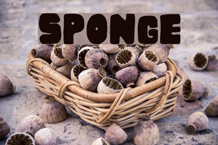 Sponge Font examples