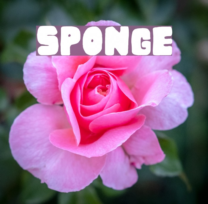 Sponge Font - FFonts.net