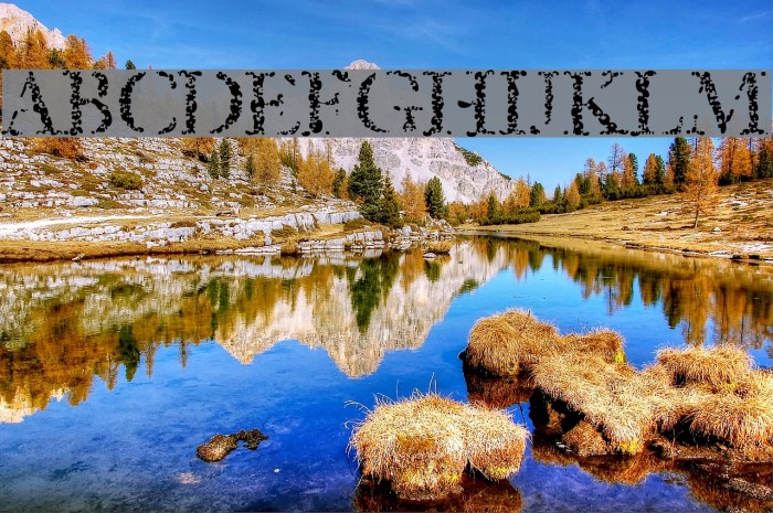 Sponged Font examples