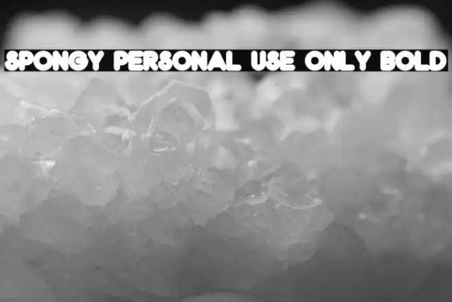Spongy PERSONAL USE ONLY Bold Font examples