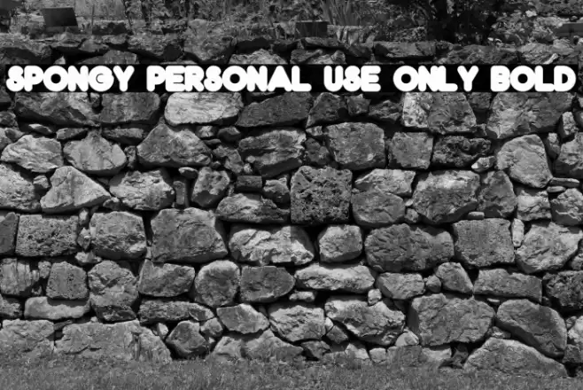 Spongy PERSONAL USE ONLY Bold Font examples