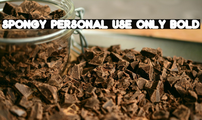 Spongy PERSONAL USE ONLY Bold Example 3