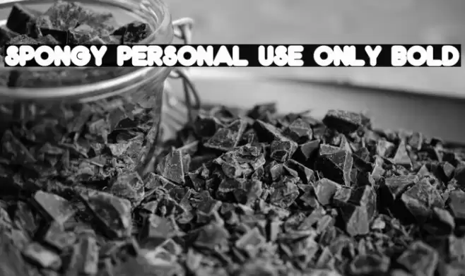 Spongy PERSONAL USE ONLY Bold Font examples