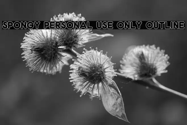 Spongy PERSONAL USE ONLY Outline Font examples