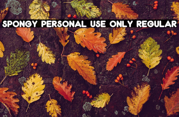 Spongy PERSONAL USE ONLY Regular Example 2