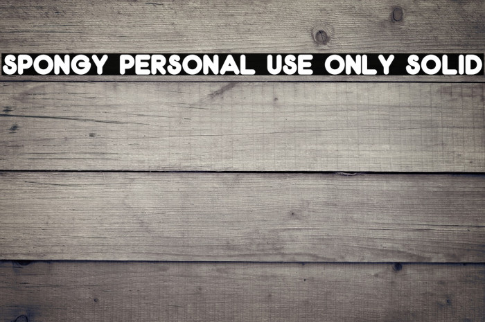 Spongy PERSONAL USE ONLY Solid Example 1