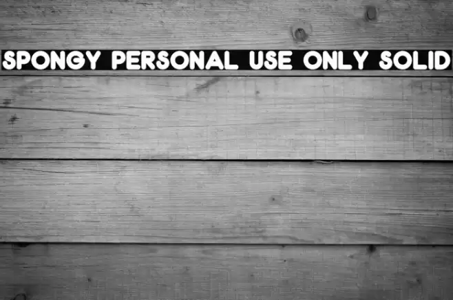 Spongy PERSONAL USE ONLY Solid Font examples