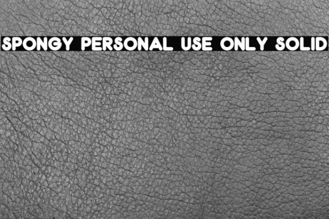 Spongy PERSONAL USE ONLY Solid Font examples