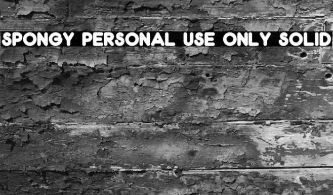 Spongy PERSONAL USE ONLY Solid Font examples