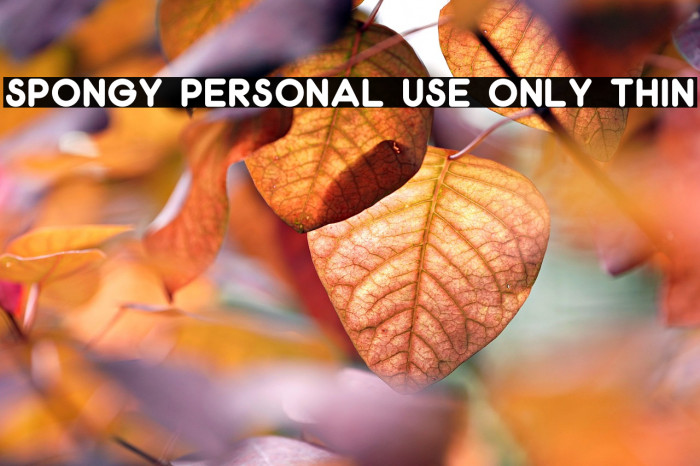 Spongy PERSONAL USE ONLY Thin Example 2