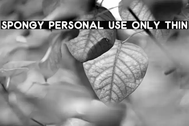 Spongy PERSONAL USE ONLY Thin Font examples