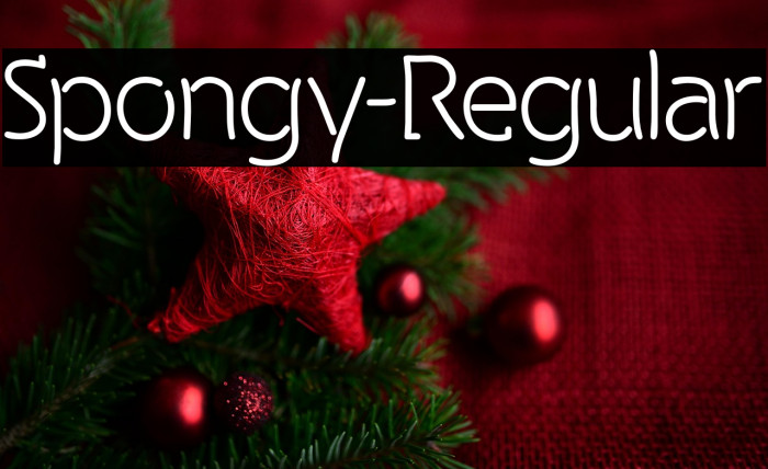 Spongy-Regular Example 1