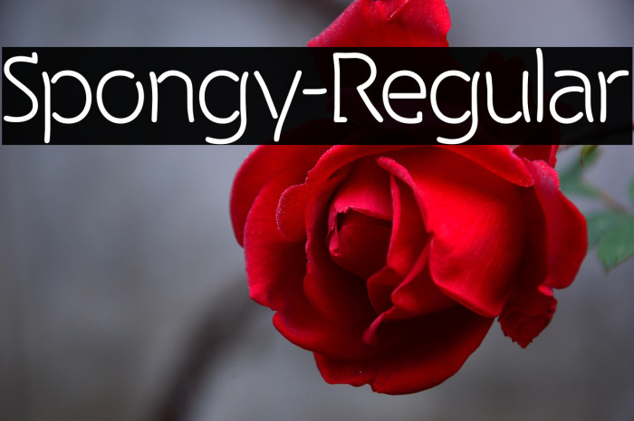 Spongy-Regular Example 2